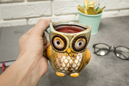 Owl mug - BLUE