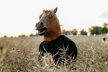 Horse mask