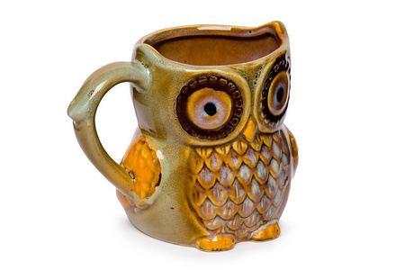 Owl mug - BLUE