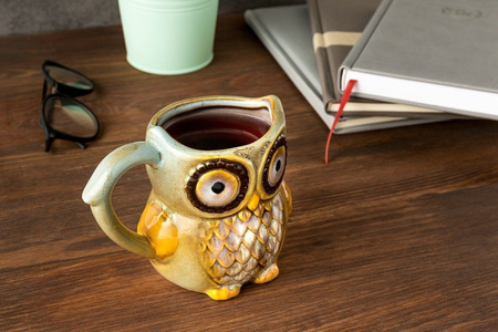 Owl mug - BLUE