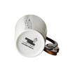 Music mug - VIOLIN