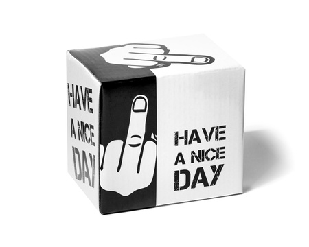 Have a Nice Day Middle Finger Mug - BLACK