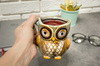 Owl mug - BLUE