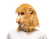 Long-nosed monkey mask