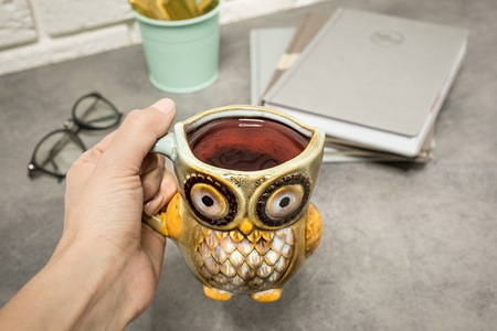 Owl mug - BLUE
