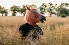 Horse mask