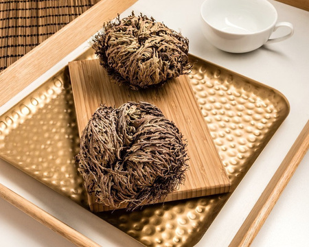 Rose of Jericho