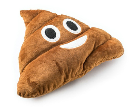 Shit pillow