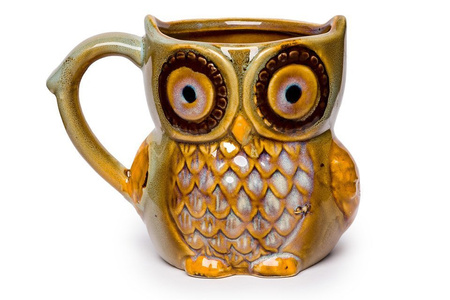 Owl mug - BLUE