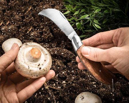 Garden & mushroom knife sickle-shaped 